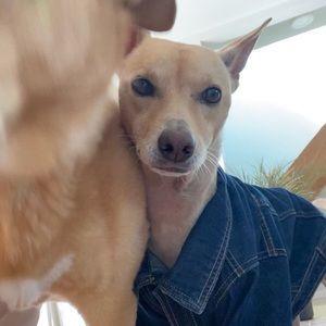 Meet your Posher, Maggie